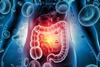 GI tract concept