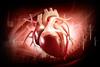 heart failure-stem-cell-therapy