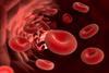 blood cells concept