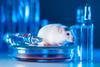 testing-vaccines-drugs-laboratory-animals
