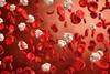 illustration/chemotherapy-targeting-cancer-cells-bloodstream-3d