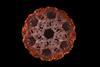 hiv capsid virus particle sub nanometer