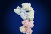 solid-tumor-therapy-illustration-bispecific-t-...