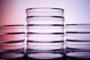 petri dish stack