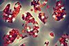 bone-marrow-stem-cells