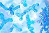 bifidobacterium-gut-health