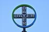 bayer logo