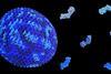 HIV virus capsid
