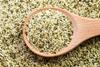 hemp seeds