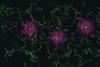 synapses digital concept