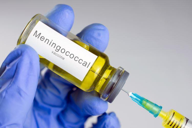 Approval-first for meningococcal vaccine | News | European ...