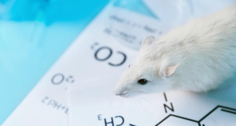 EU Commission issues plan to replace animal testing in chemical safety assessments