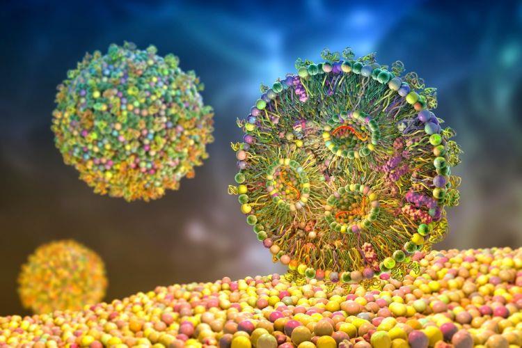 Lipid nanoparticle discovery could increase drug delivery efficiency ...