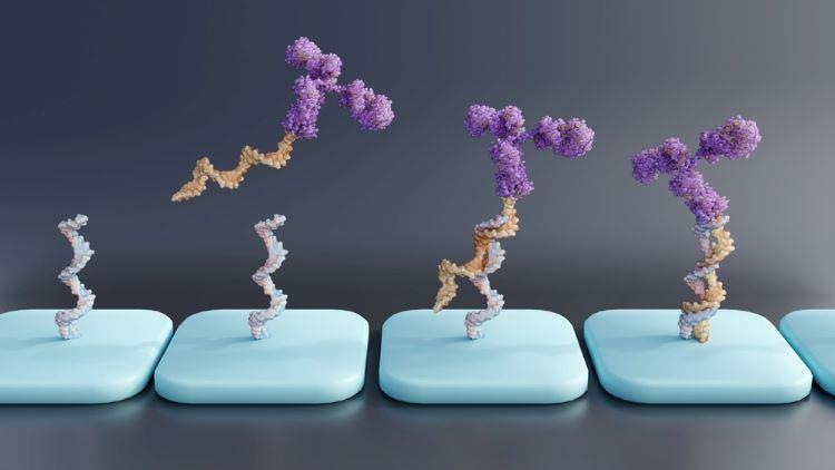 Innovating bioanalysis to advance oligonucleotide therapeutics ...