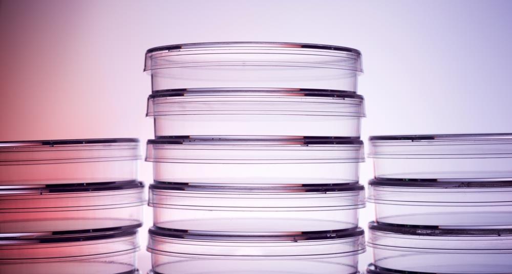 Petri dish study could enhance accuracy of microbiological testing