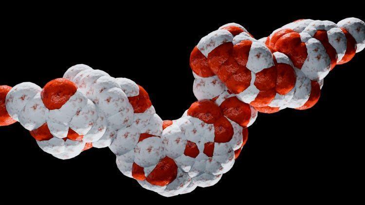 Eli Lilly releases topline data for new oral GLP-1 | News