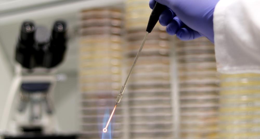 Use of Bunsen burners for laboratory asepsis context-dependent, study finds