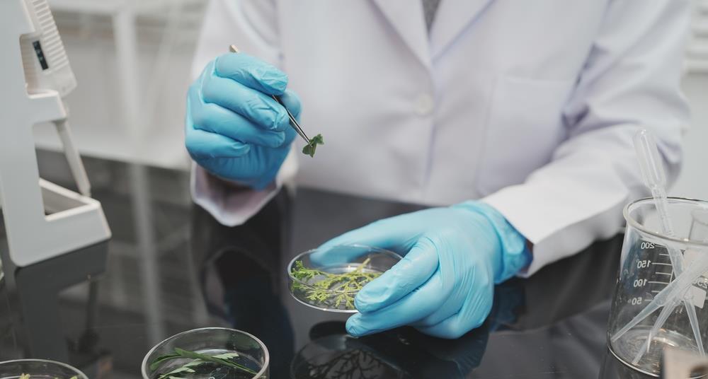FDA opens consultation on regulation of botanical drug products