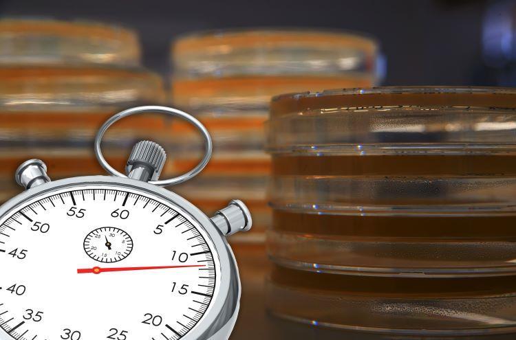 Potassium Rmm On the clock: a collaborative approach to advancing adoption of RMM ...