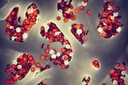 bone-marrow-stem-cells