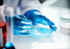 AdobeStock_1009672780