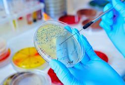 AdobeStock_224184156