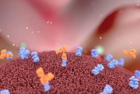 Antibodies binding to cancer cell surface receptors illustration
