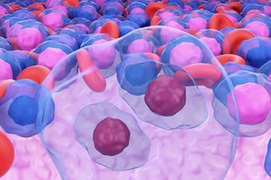 shutterstock_2029359215 (1)