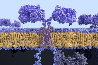 Chimeric antigen receptor: CARs are engineered cell receptors that allow T cells to recognize/attack specifically cancer cells. A signal protein is attached to the intracellular domain illustration