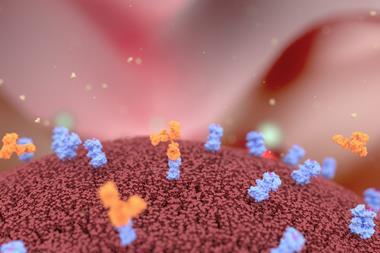 Antibodies binding to cancer cell surface receptors illustration