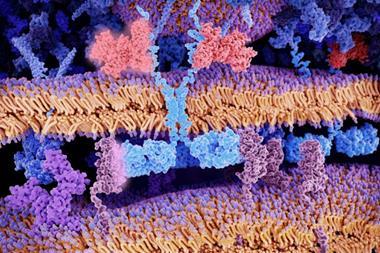 shutterstock_1212347953