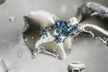 shutterstock_1386639521