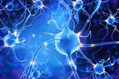 shutterstock_2639297249