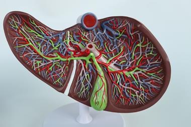 shutterstock_2291609927