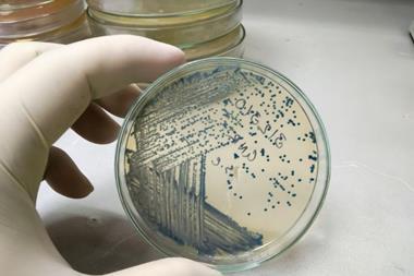 shutterstock_2245939183