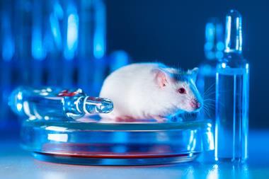 testing-vaccines-drugs-laboratory-animals
