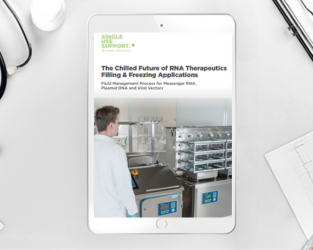 Untitled design (14)