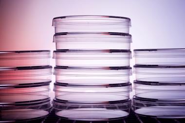 petri dish stack