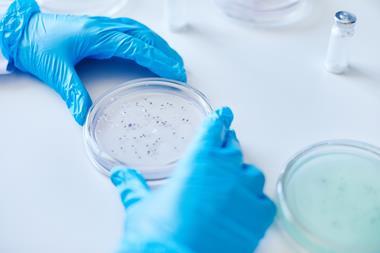 Close,Up,On,Unrecognizable,Microbiologist,Hands,In,Blue,Vinyl,Gloves