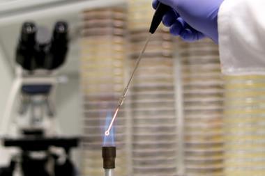 microbiological-culture-researcher-