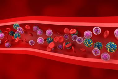 shutterstock_2460506615