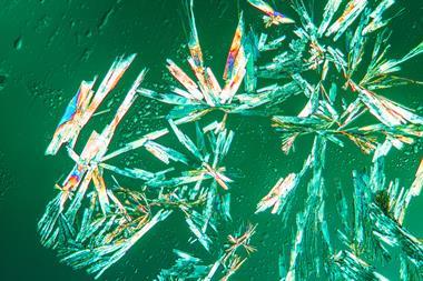 acetylsalicylic acid crystallisation structure polarised light