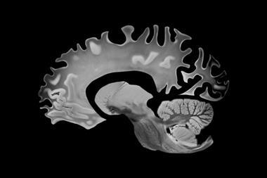 shutterstock_2672018555