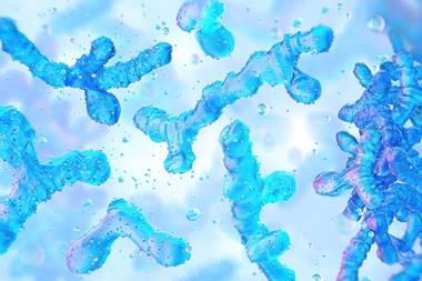 bifidobacterium-gut-health
