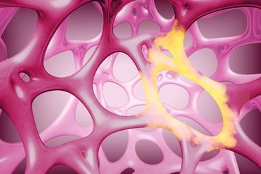 shutterstock_2348455577