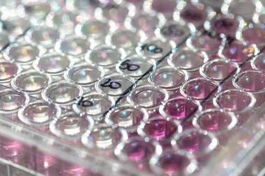 closeup-view-microwell-plate
