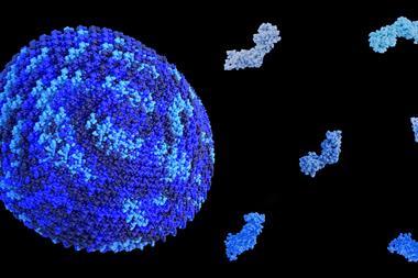 HIV virus capsid