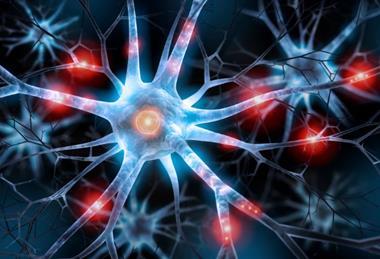 shutterstock_1431513791