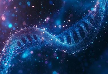 elder_foreword-feature image