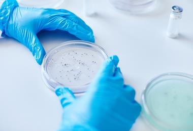 Close,Up,On,Unrecognizable,Microbiologist,Hands,In,Blue,Vinyl,Gloves